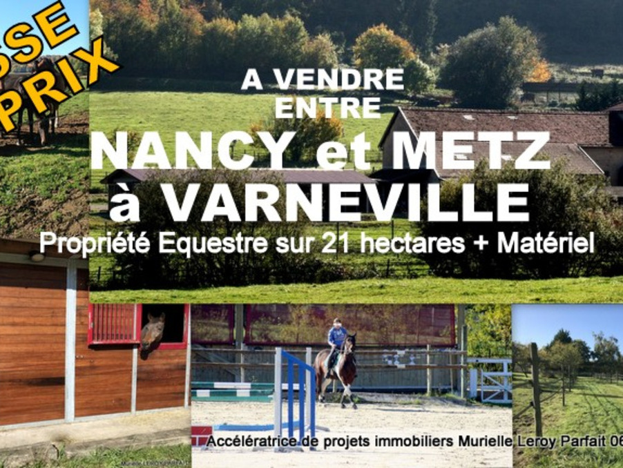 Vente Maison Metz  843 000 €