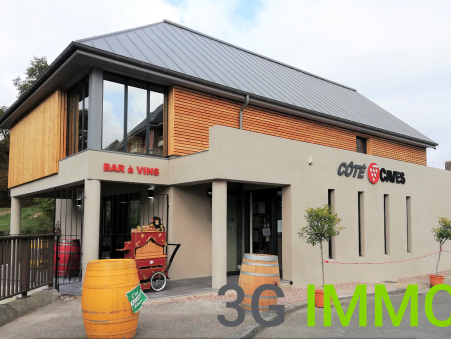 Vente Local MAGNY EN VEXIN  690 000 €