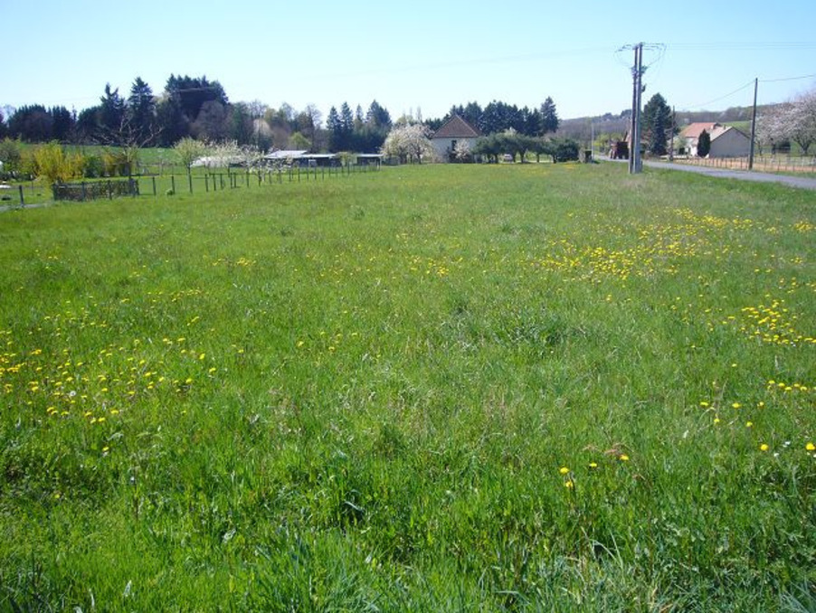 Vente Terrain Saint-Yrieix-la-Perche 19 000 €
