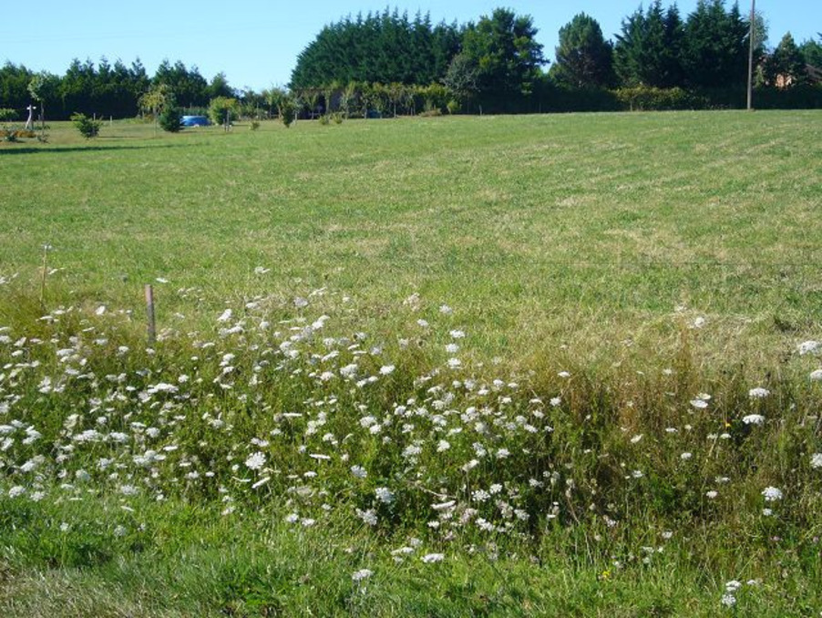 Vente Terrain Saint-Yrieix-la-Perche 30 000 €