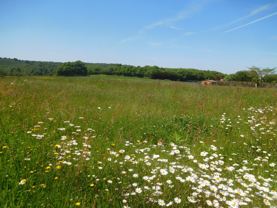 Vente Terrain Saint-Yrieix-la-Perche 32 000 €