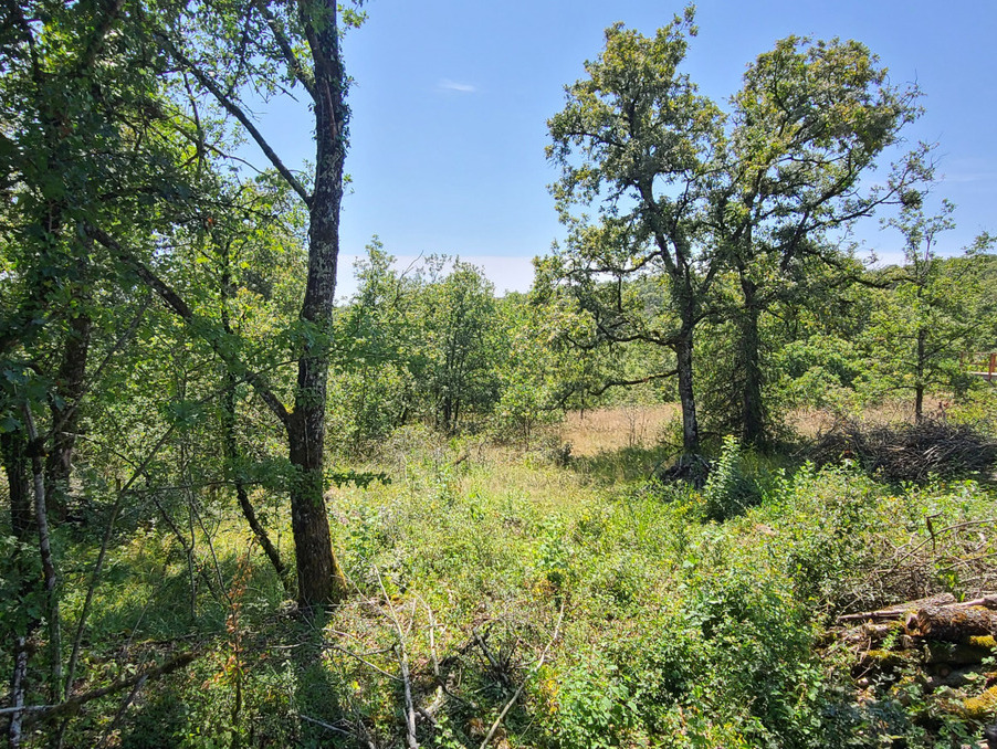 Vente Terrain Le Vignon-en-Quercy 30 000 €