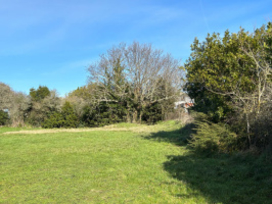 Vente Terrain Sarzeau  379 600 €