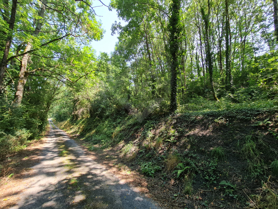 Vente Terrain ROQUECOURBE 35 000 €