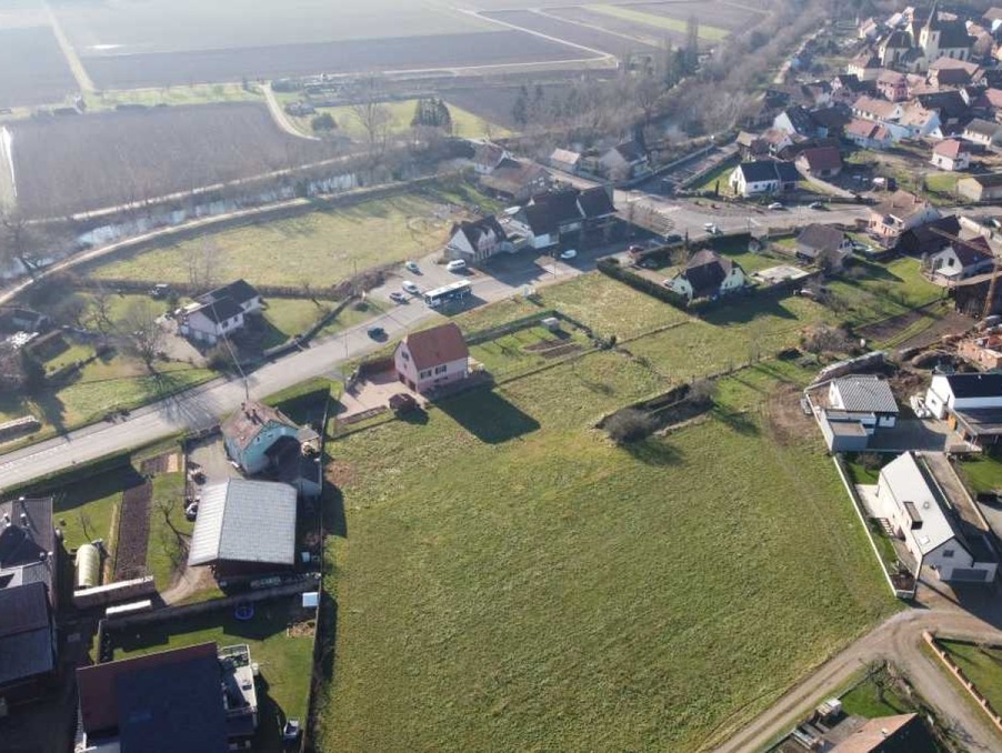 Vente Terrain RIBEAUVILLE 95 000 €