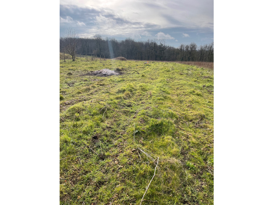 Vente Terrain Reugny  117 000 €