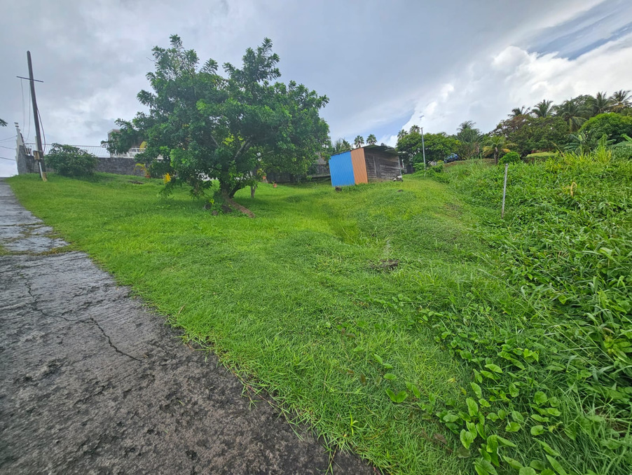 Vente Terrain Rivière-Pilote 96 000 €