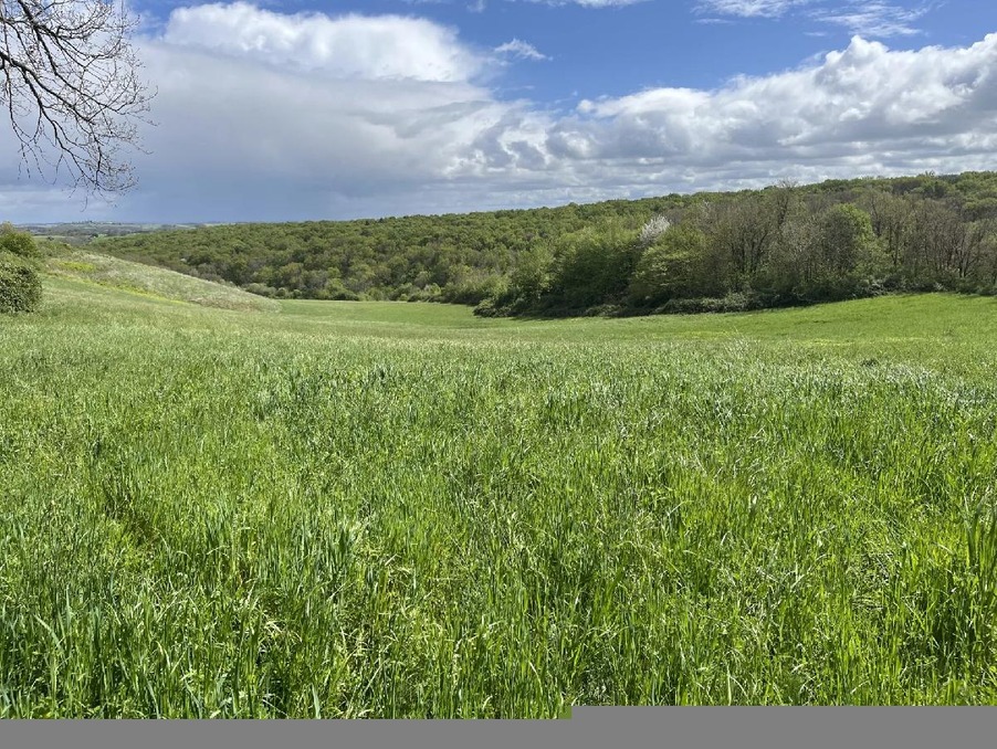 Vente Terrain SARCOS 40 000 €