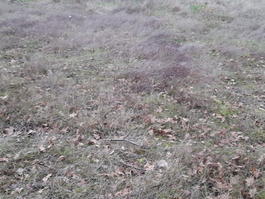 Vente Terrain Langoiran  119 500 €