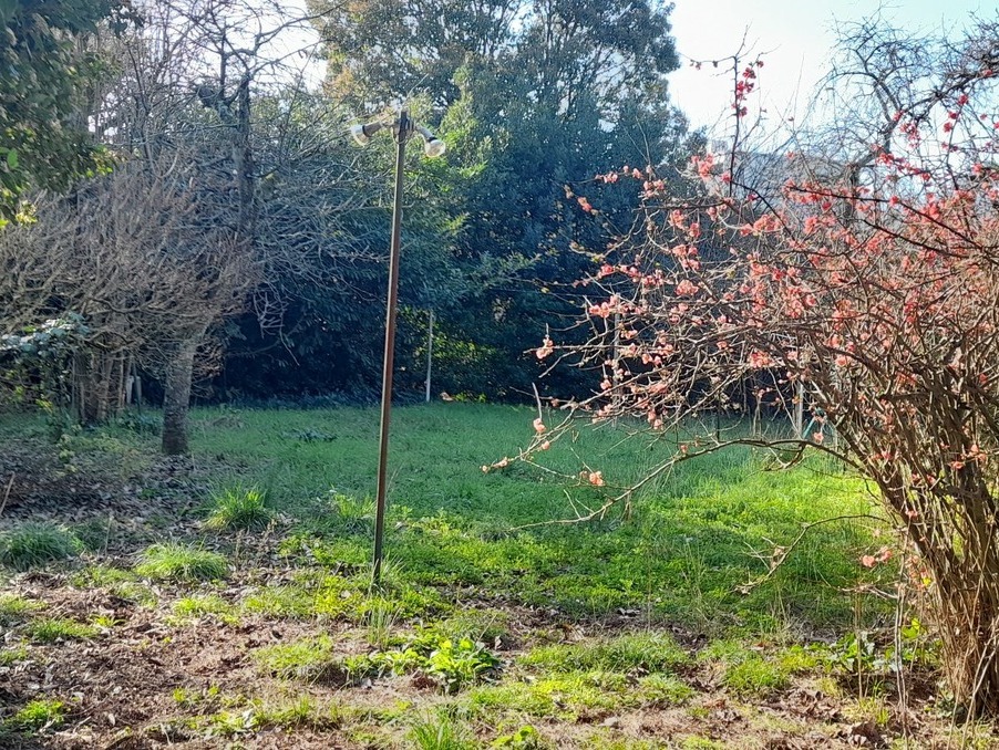 Vente Terrain Talence  336 000 €