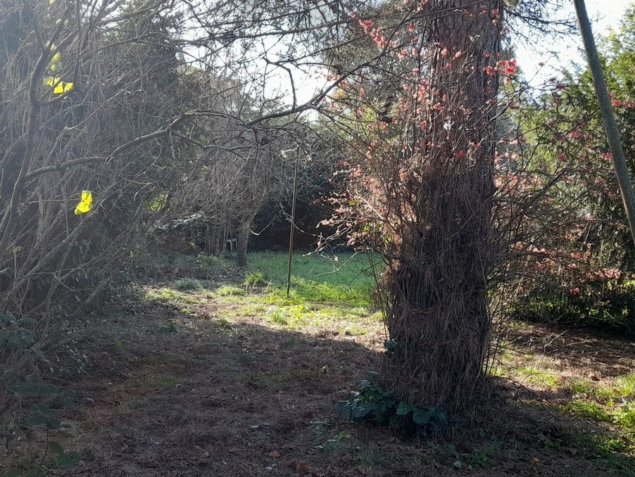 Vente Terrain Talence  336 000 €