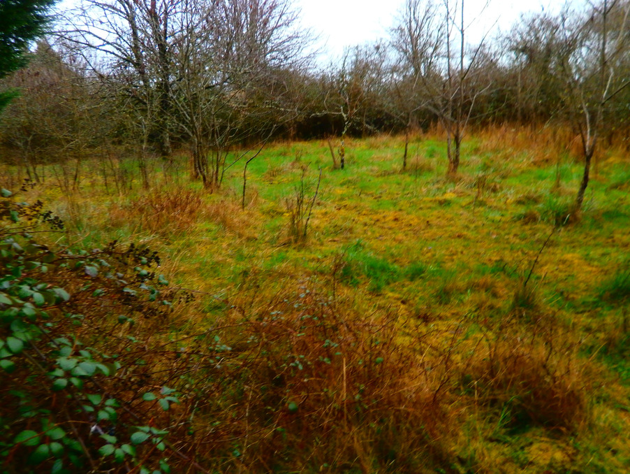 Vente Terrain Déols 40 000 €