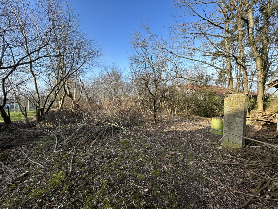 Vente Terrain PFETTERHOUSE  169 000 €