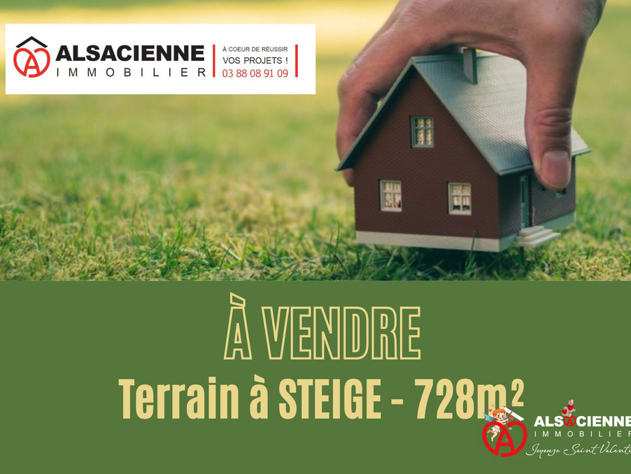 Vente Terrain Steige 81 536 €