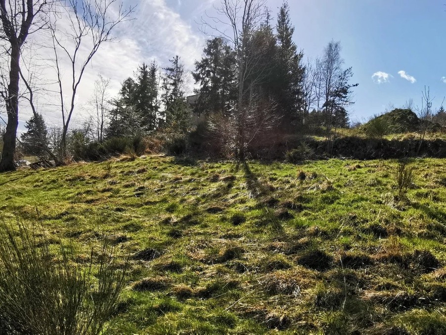 Vente Terrain Saint-Jean-Soleymieux  117 000 €