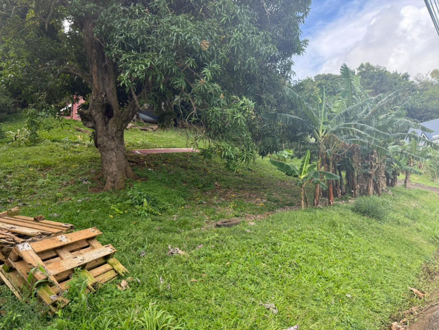 Vente Terrain DUCOS 90 000 €
