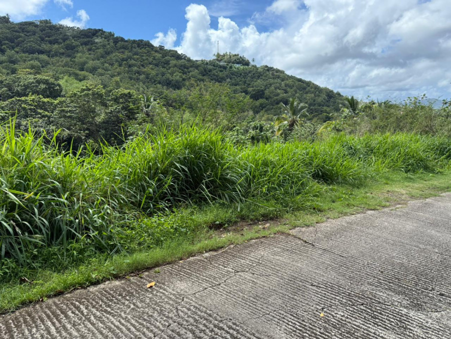 Vente Terrain RIVIERE SALEE 70 000 €