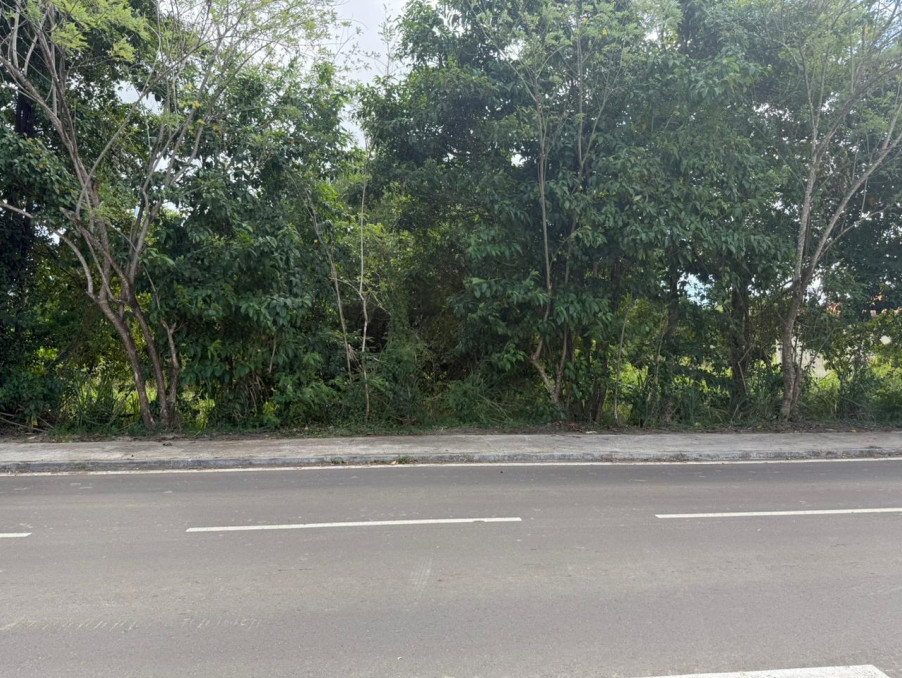 Vente Terrain RIVIERE SALEE 90 000 €