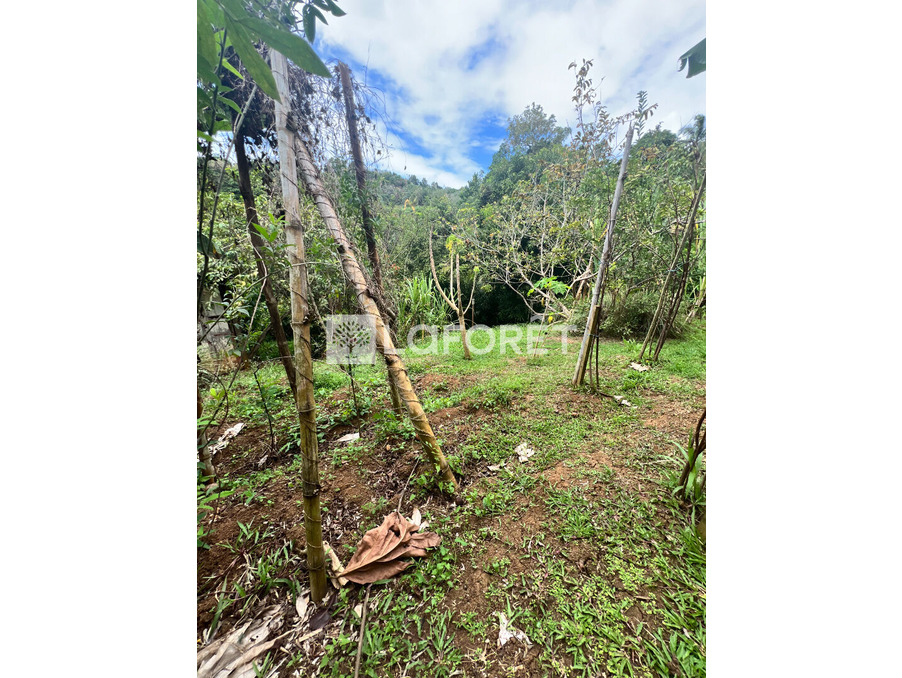 Vente Terrain Ducos 95 000 €