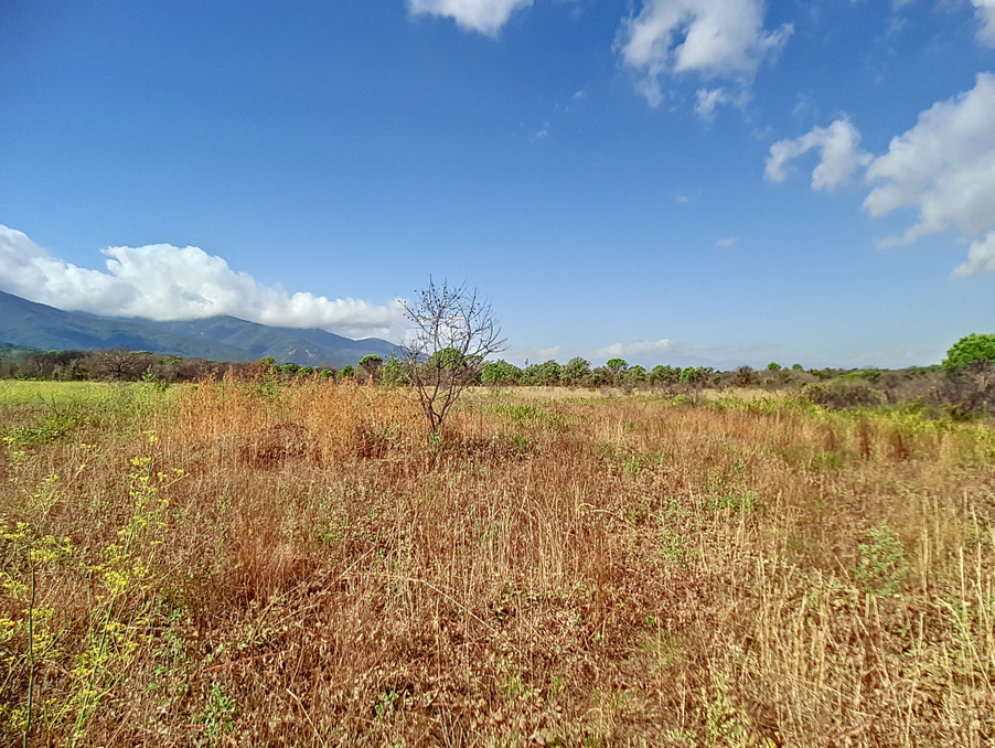 Vente Terrain SAINT ANDRE 40 000 €