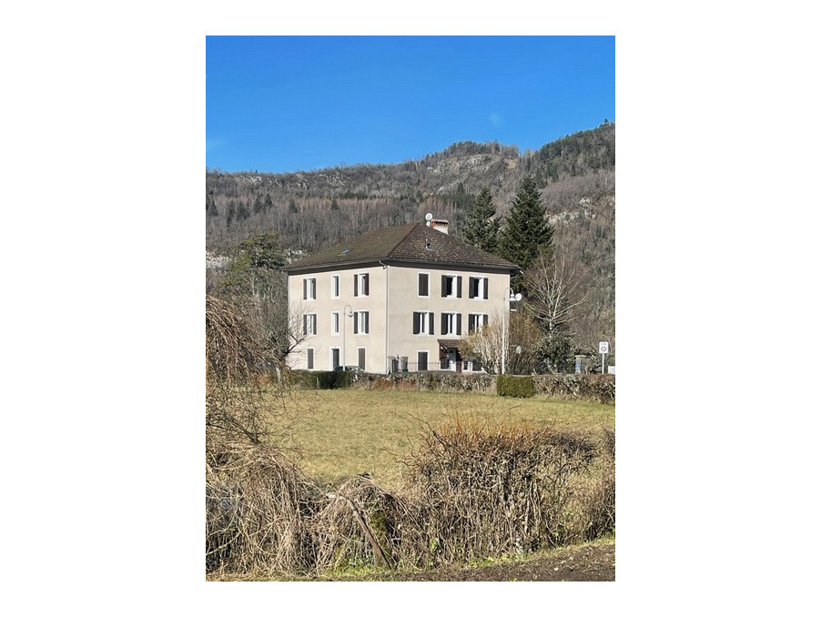 Vente Immeuble MOLINGES  455 000 €