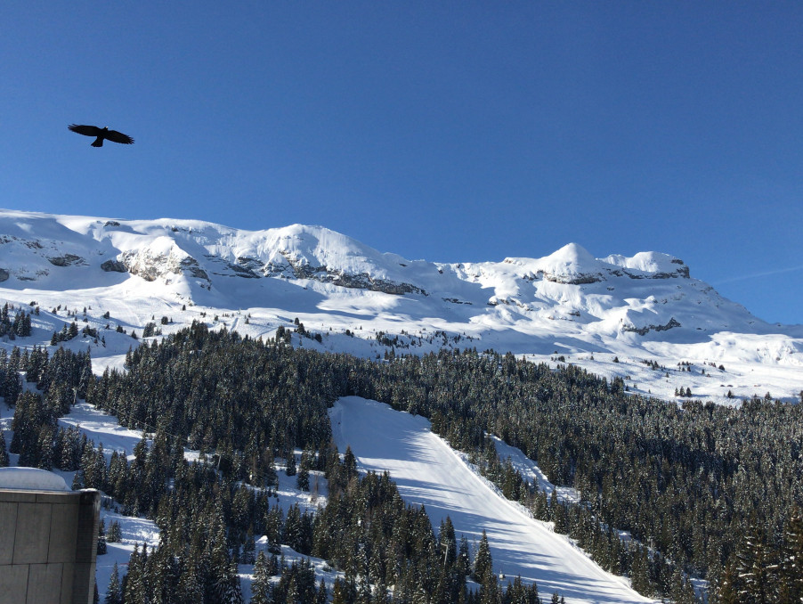 Vente Appartement FLAINE  295 000 €