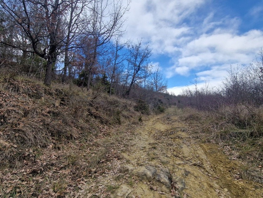 Vente Terrain ANTUGNAC 19 000 €