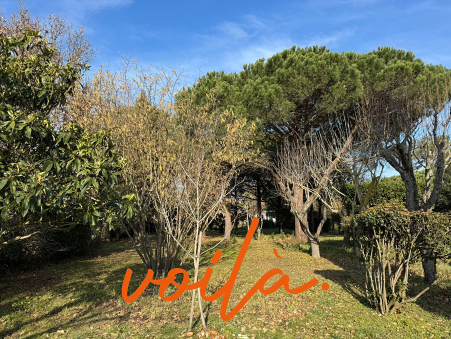 Vente Terrain Carcassonne  109 000 €
