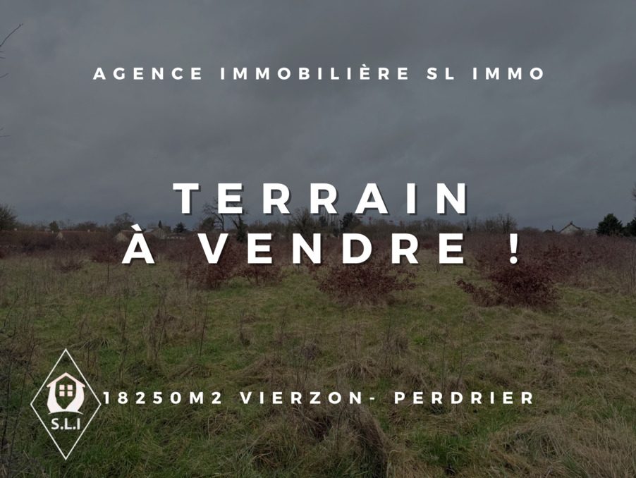 Vente Terrain Vierzon  190 000 €