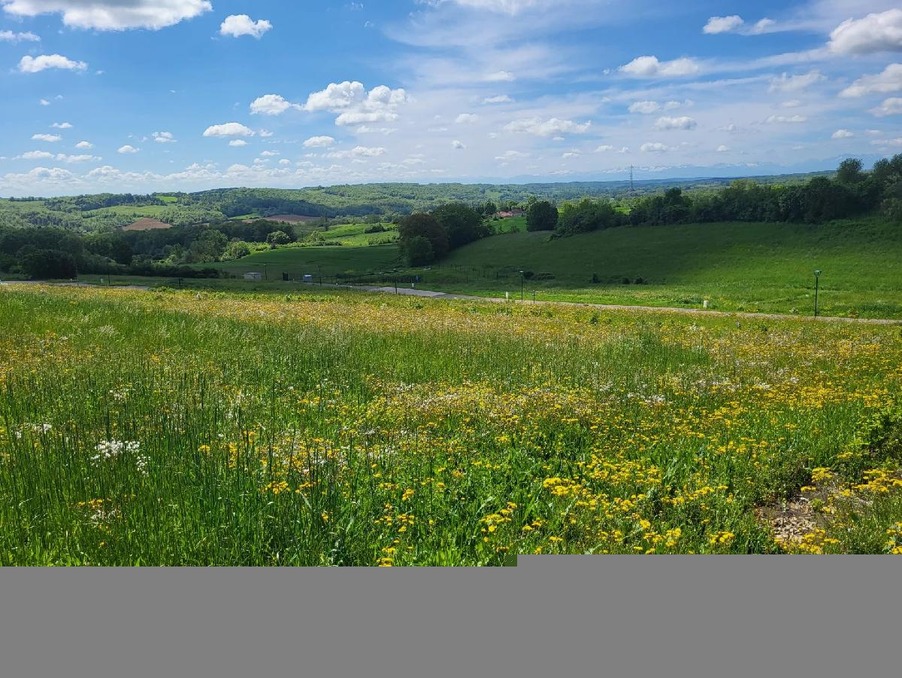 Vente Terrain LASSERAN 70 000 €