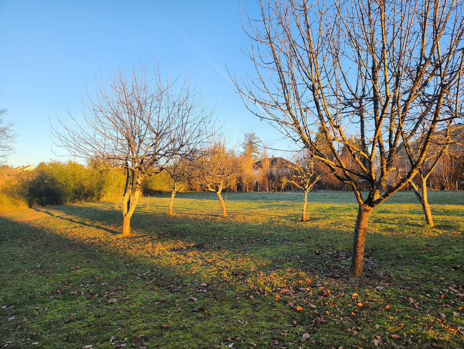 Vente Terrain Royères 38 000 €