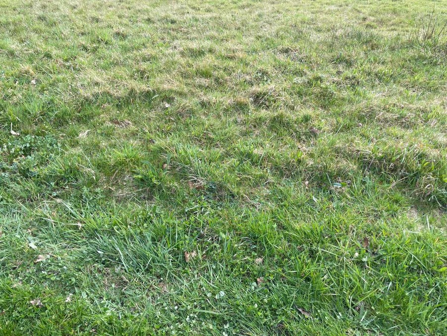 Vente Terrain SAINT SAUVEUR DE PUYNORMAND 20 000 €