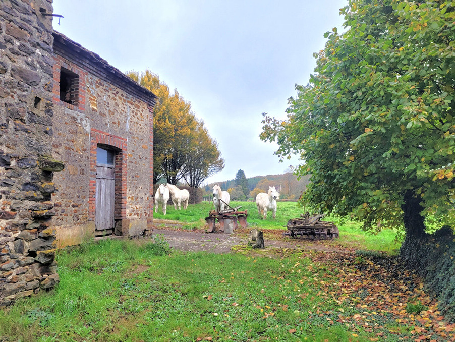 Vente Maison Diges  336 000 €
