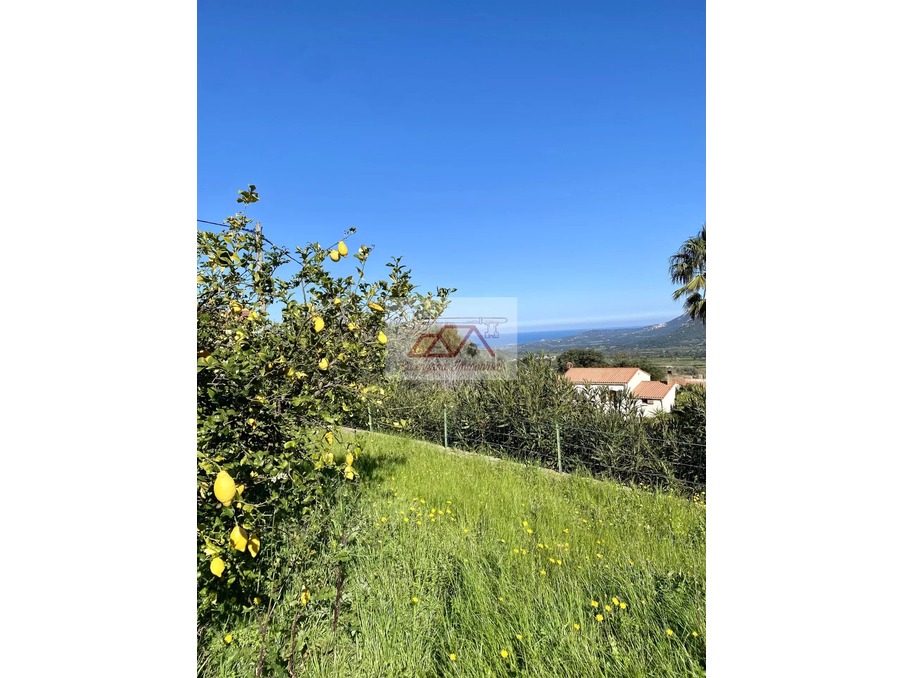Location Appartement Calenzana 1 200 €