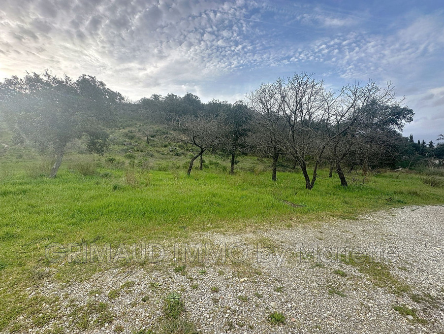 Vente Terrain Grimaud  900 000 €