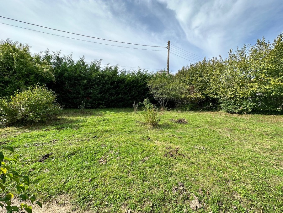 Vente Terrain SOUPPES SUR LOING 55 000 €