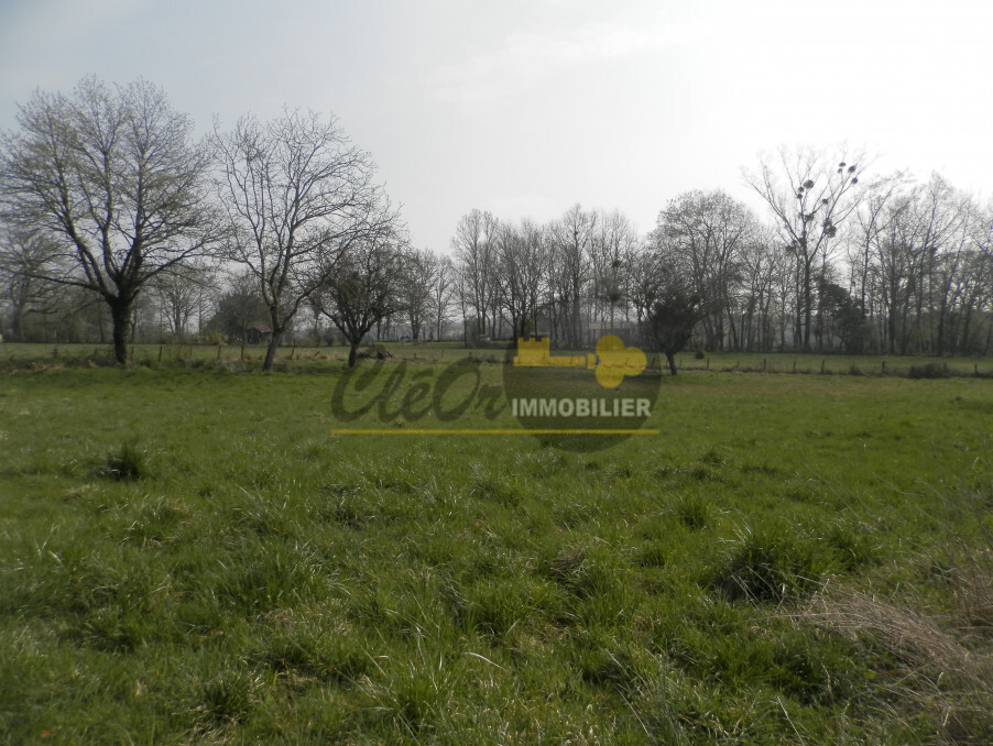 Vente Terrain Saint-Vincent-en-Bresse 40 250 €