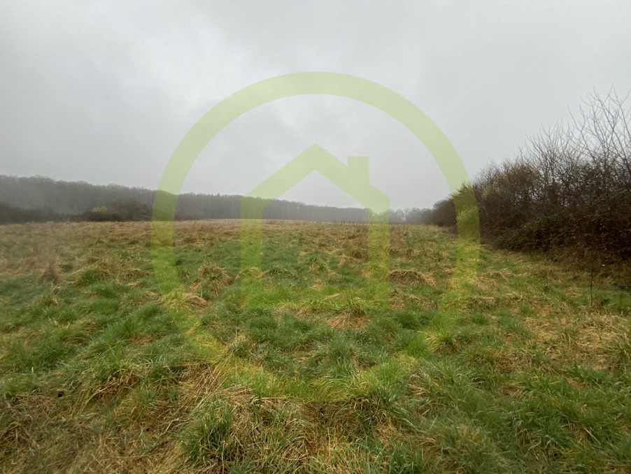 Vente Terrain LIGNEROLLES  116 000 €