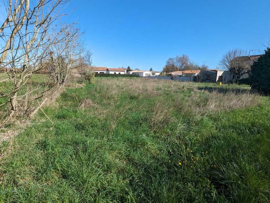 Vente Terrain Coulon 88 000 €
