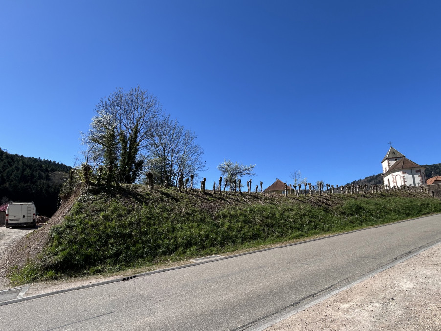 Vente Terrain STEIGE 82 000 €