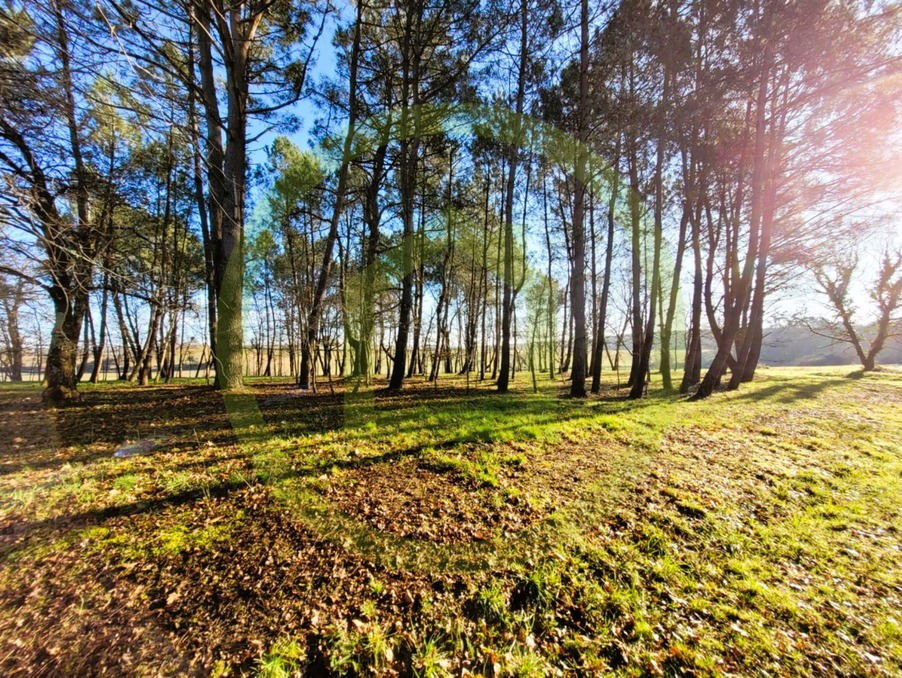 Vente Terrain SOUBRAN 42 800 €
