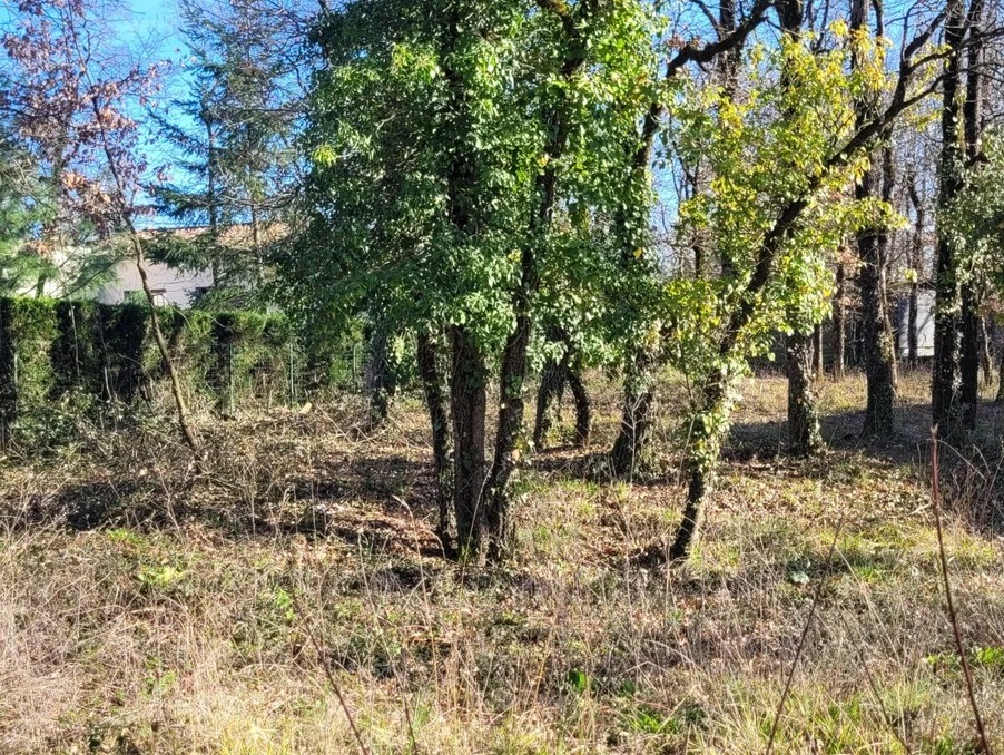 Vente Terrain Terre-de-Bancalié 39 000 €