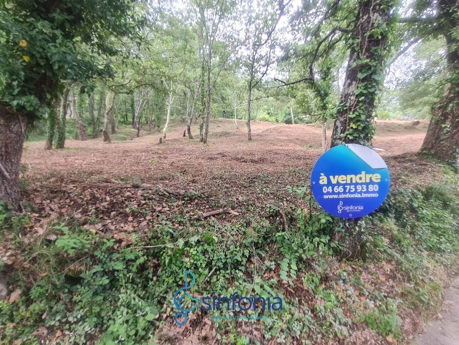 Vente Terrain POUGNADORESSE 98 000 €