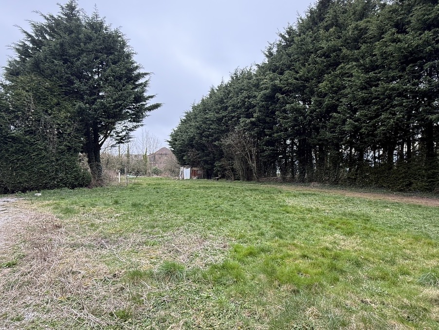 Vente Terrain Rinxent 75 490 €