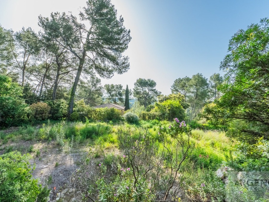 Vente Terrain CLAPIERS  990 000 €
