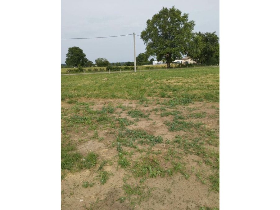 Vente Terrain CHEVROUX 49 000 €