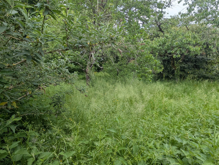 Vente Terrain Magné  107 000 €