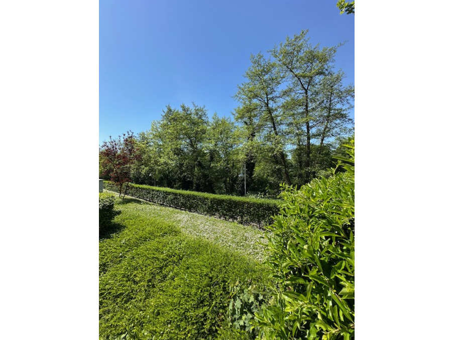 Vente Appartement Illkirch-Graffenstaden  336 500 €
