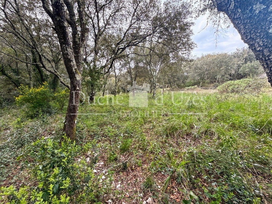 Vente Terrain Saint-Maximin 26 000 €