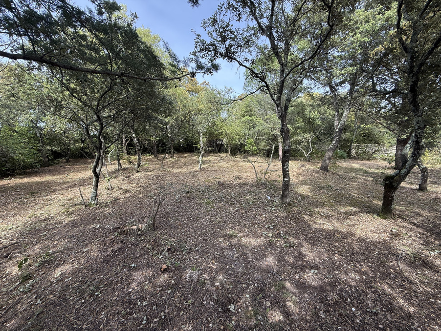 Vente Terrain Villevieille  229 000 €